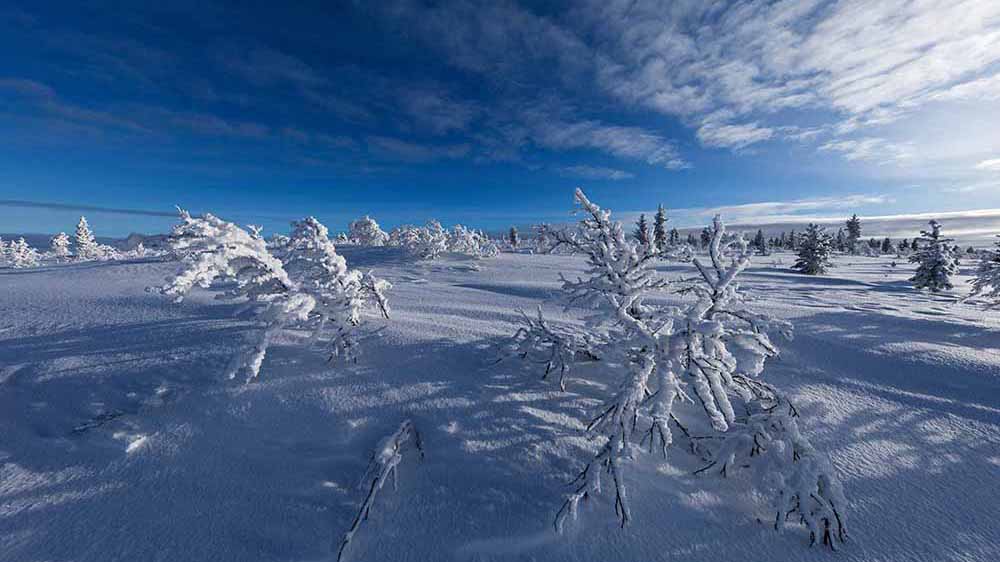 20170306 dethleffs scandinavie3